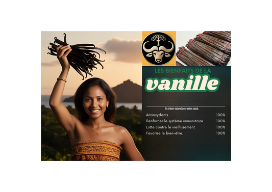 une affiche montrant les bienfaits de la vanille de Madagascar