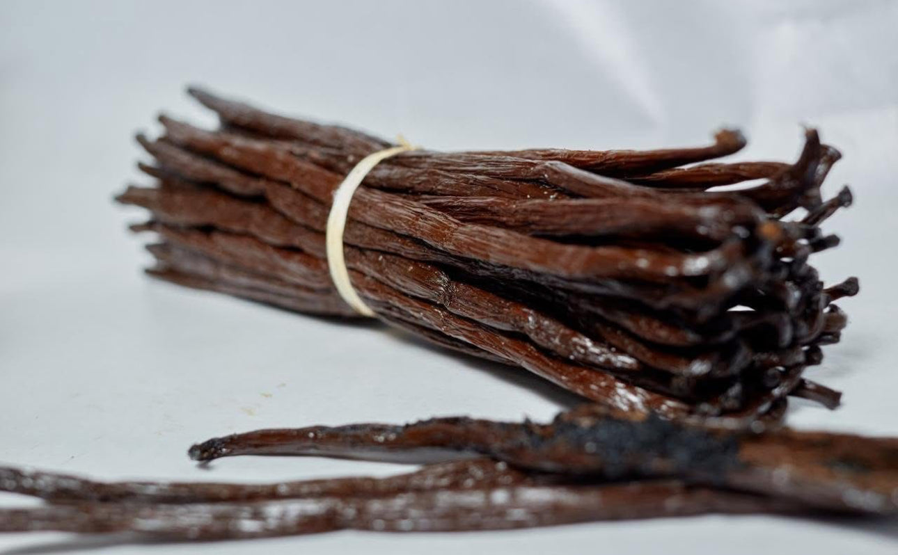 gousse vanille bourbon TK gourmet grade A