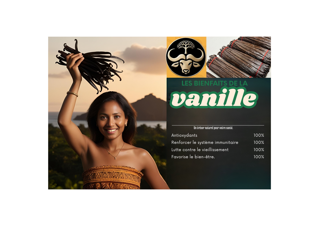 une affiche montrant les bienfaits de la vanille de Madagascar