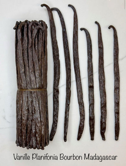 un lot de 20 gousses de vanille et des gousses vanille bourbon détaillées 
